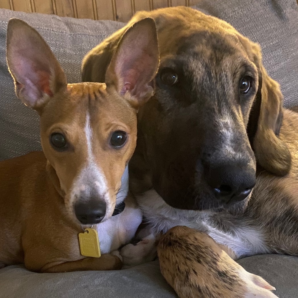 Meet your Posher, Hannah